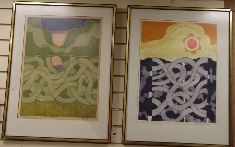 John Brunsden (1933-2014), two limited edition prints, Tangle and Nocturn, signed, 30/50 and 28/75, 62 x 47cm